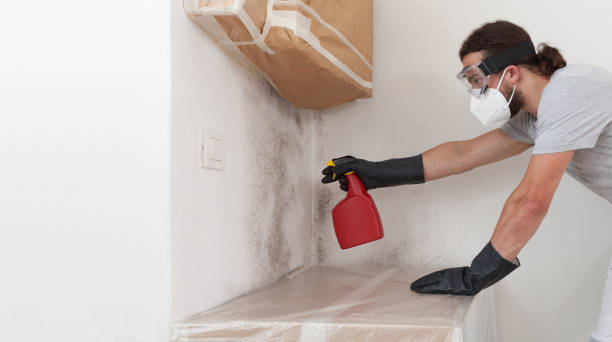 Professional Basement Mold Remediation technician working in Bennett, NC
