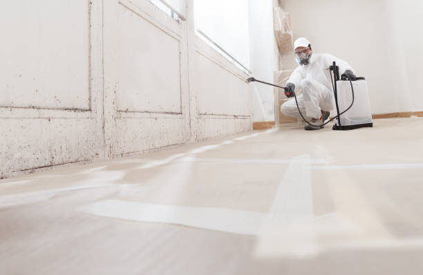 24/7 Emergency Basement Mold Remediation experts in Bennett, NC